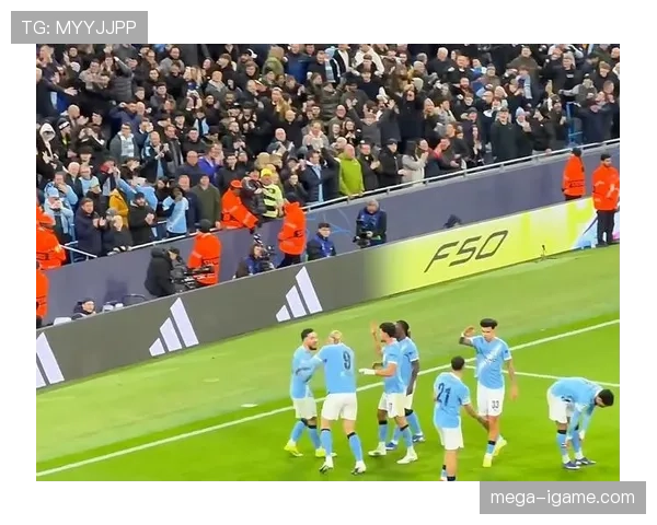 水晶宫主场迎战曼城,状态回升誓掀强敌 水晶宫主场迎战曼城,状态回升誓掀强敌